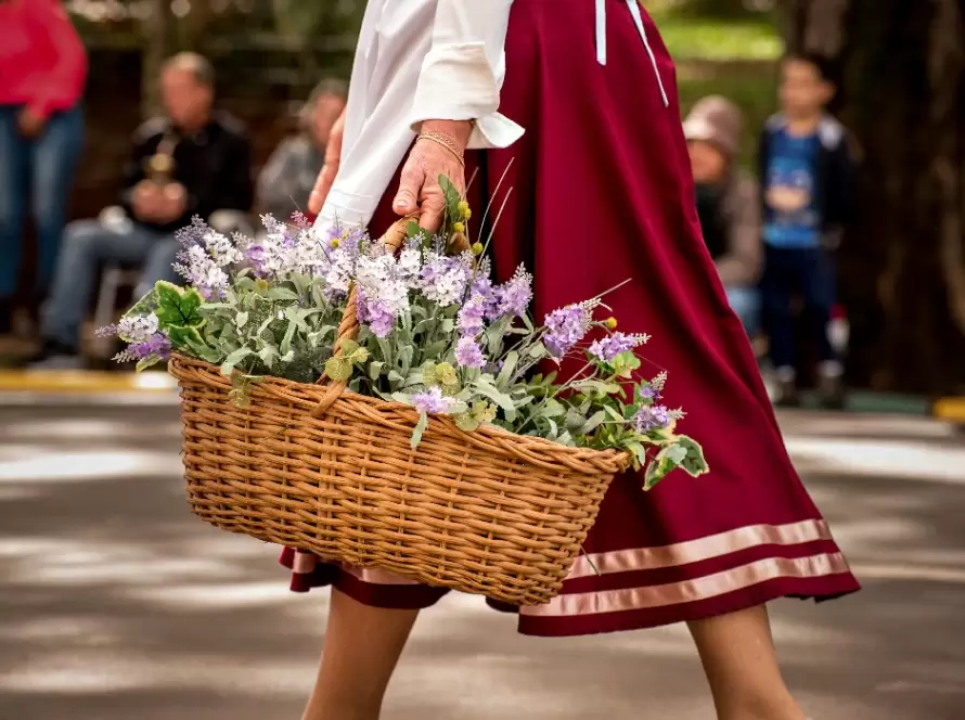 Flower Meanings Unlocking the Language of Blooms